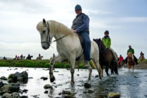 horse riding tour