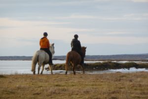 horse riding tour iceland