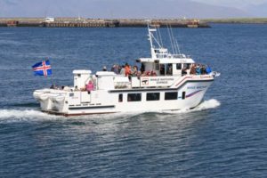 whale watching & sea angling