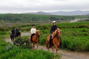 horseriding iceland