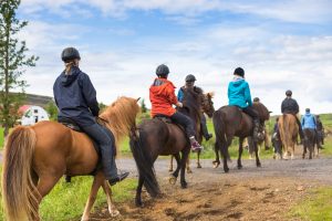 horse riding tours in iceland
