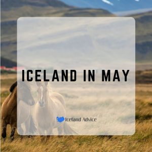 iceland in may